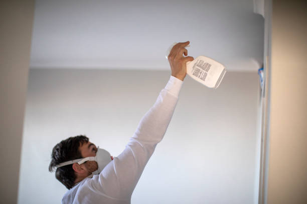 Best Bathroom Mold Remediation in Hayesville, OR